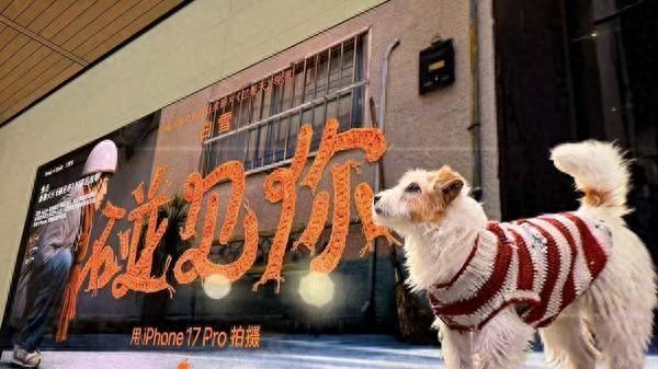 九年不辍拍新春片，苹果从不说“买手机”，却让中国人年年为它买单