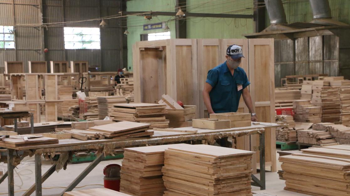 中越木材贸易大爆发！进口规模涨391.5%、均价涨54.3%