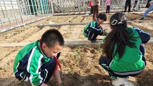 北京市大兴区庞各庄二小劳动实践基地正式启动！