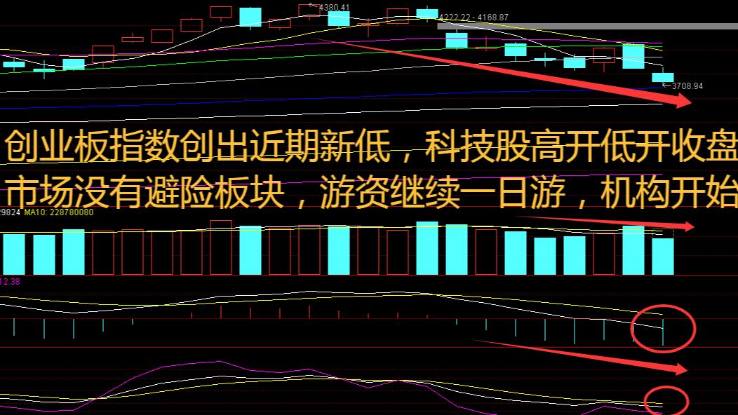 指数走弱赛道分化，“凉凉”走起！创新药强势领涨，该怎么布局？