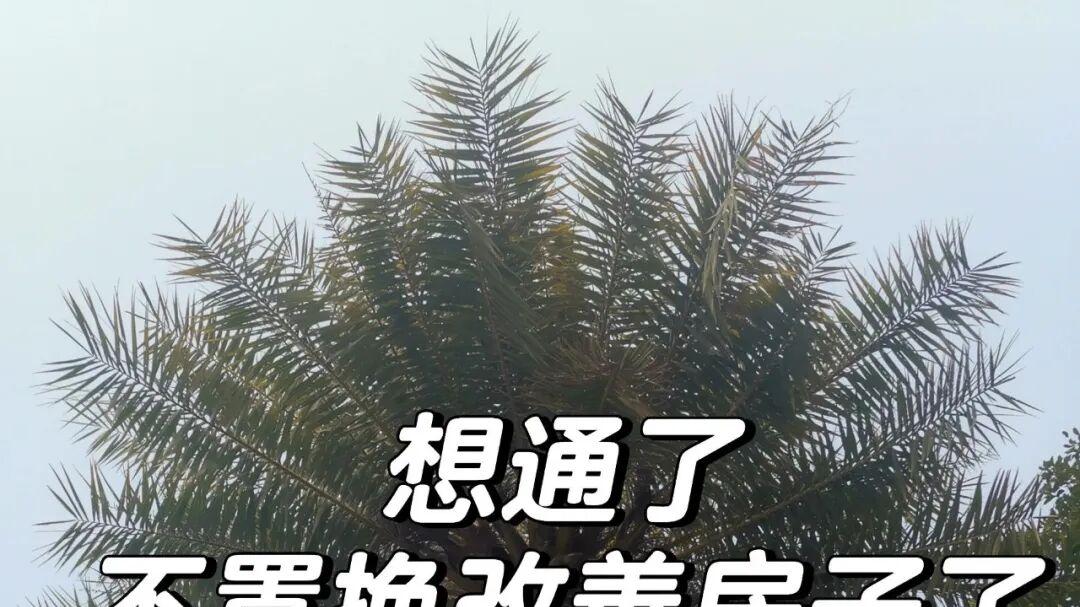 劝大家一句，有房子就将就住