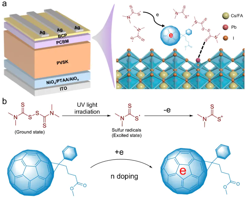 什么是掺杂？定义、机制与多领域应用解析