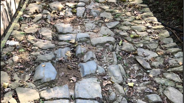 九江文史 | 古道“溪”风瘦马  小桥流水“商”家