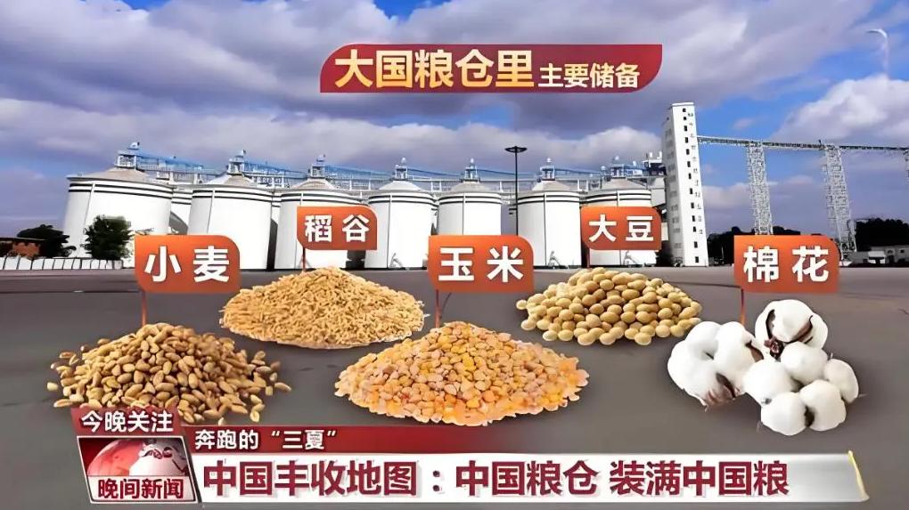 中国14亿人需大量进口粮食，印度14亿人却大量出口粮食，究竟为何？