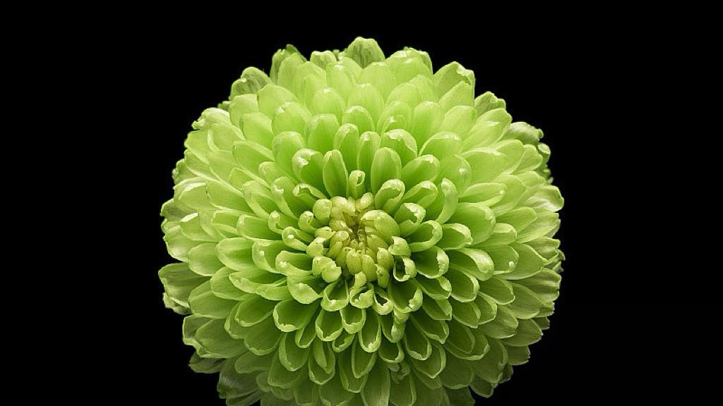 最高法院一锤砸下，美国关税体系要变天？