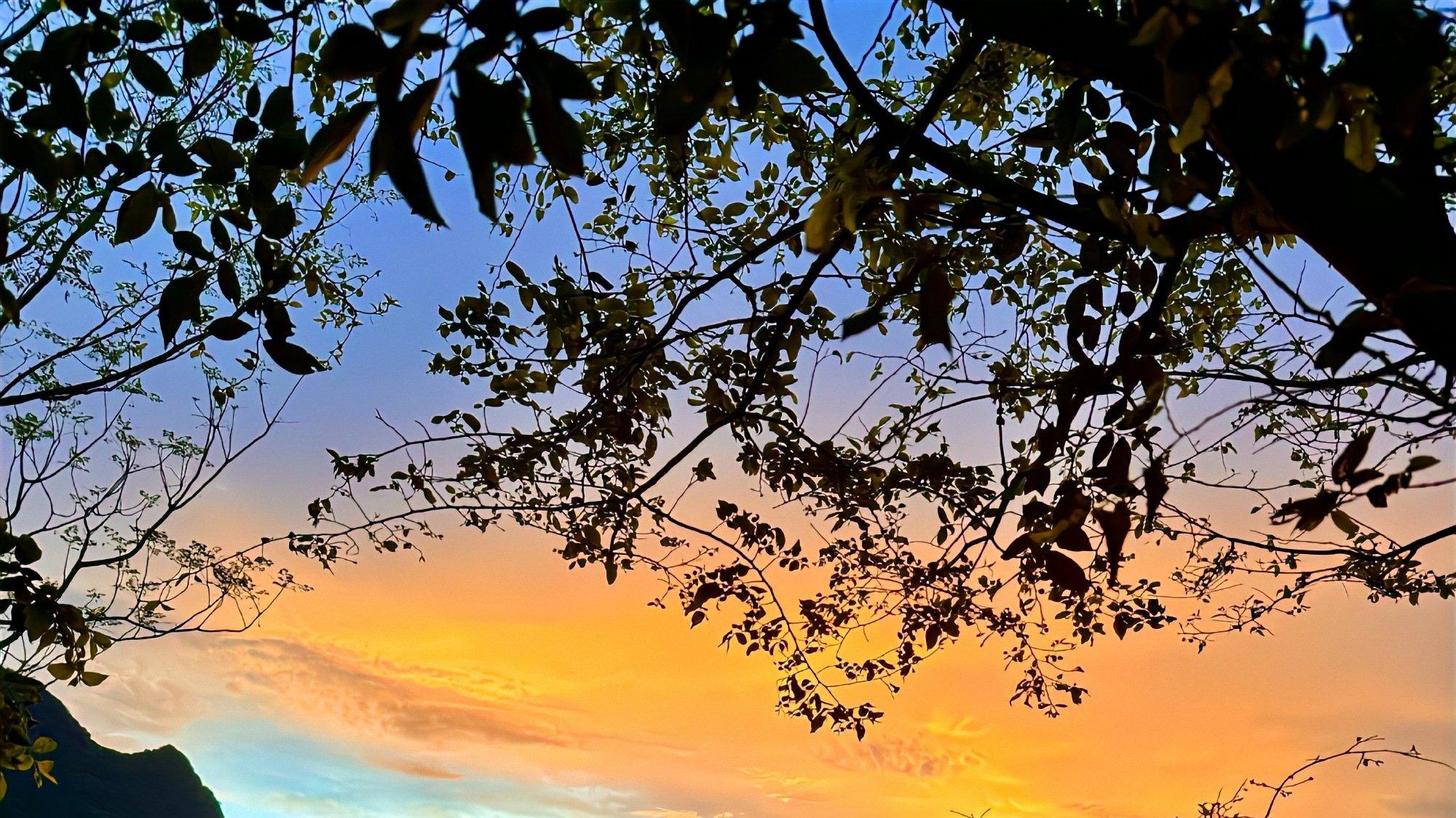 2026 北海涠洲岛旅游市场品质消费观察报告