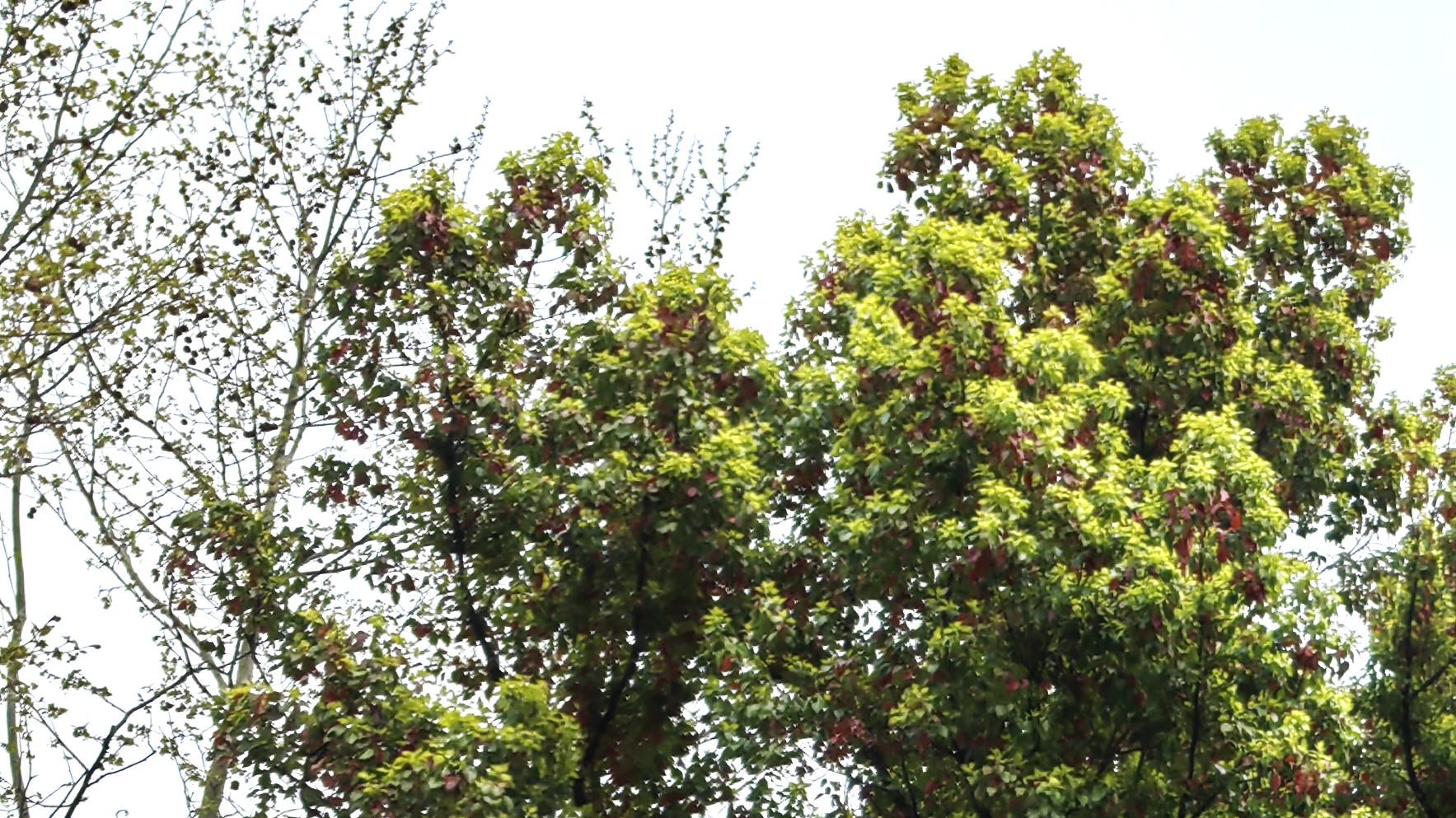 行走职场：不合群？