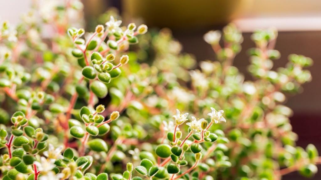 推理能力翻倍，Google这次不是在凑数