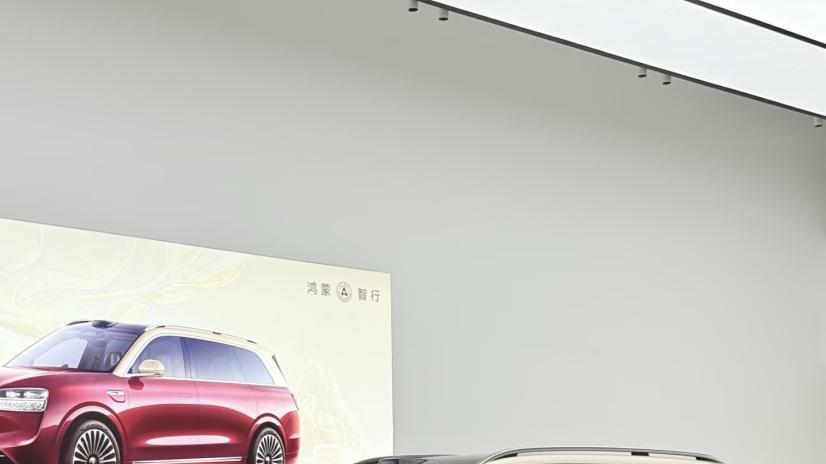 问界M9和极氪9X，旗舰级车二选一