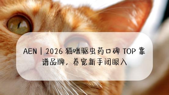 AEN｜2026 猫咪驱虫药口碑靠谱品牌，养宠新手闭眼入