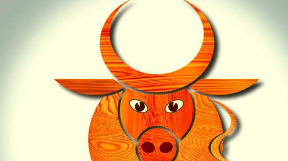 2026 年农历丙午年｜生肖牛运势与吉凶全解：火土相生藏玄机，丑午相害炼真金