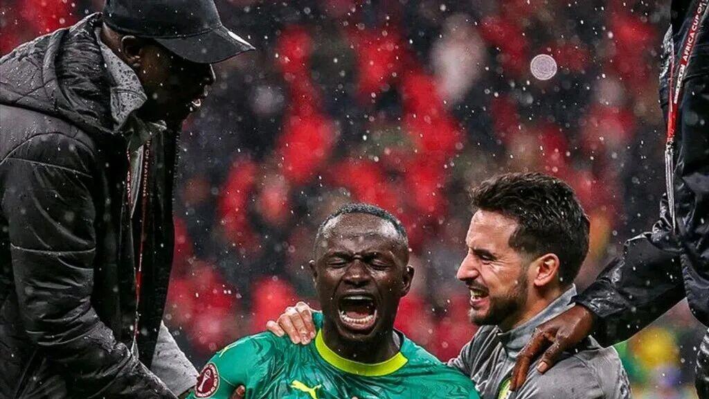 塞内加尔问鼎非洲杯冠军！这场赛事堪称彻底的疯狂