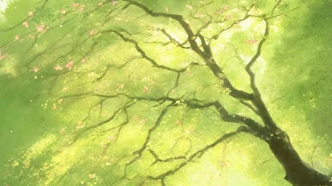 七律 岁月与韶光