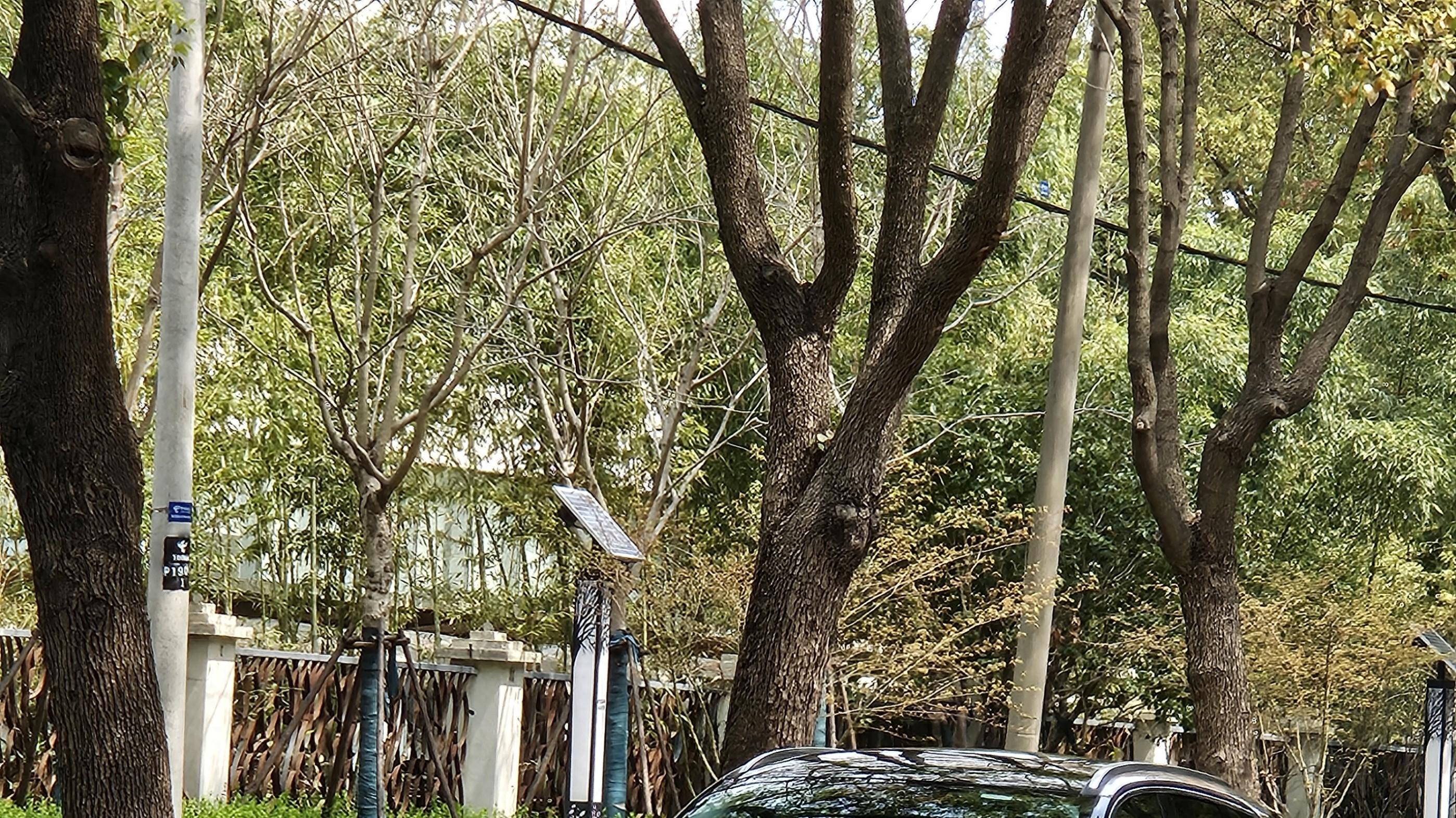 紫色冒险家，路过多看了一眼，然后……就没走掉