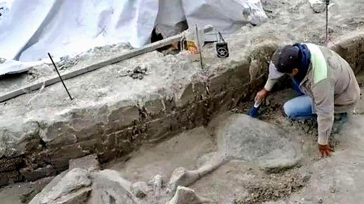 致敬伟大的抗日英雄王光泽！