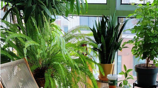 入住后发现：阳台是最大的浪费！3种流行装修设计，好看实用兼顾