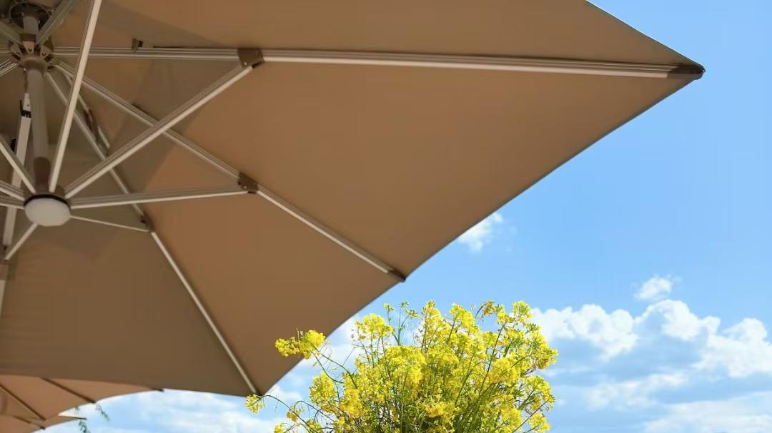 孩子有学习障碍，真能找到合适幼儿园？