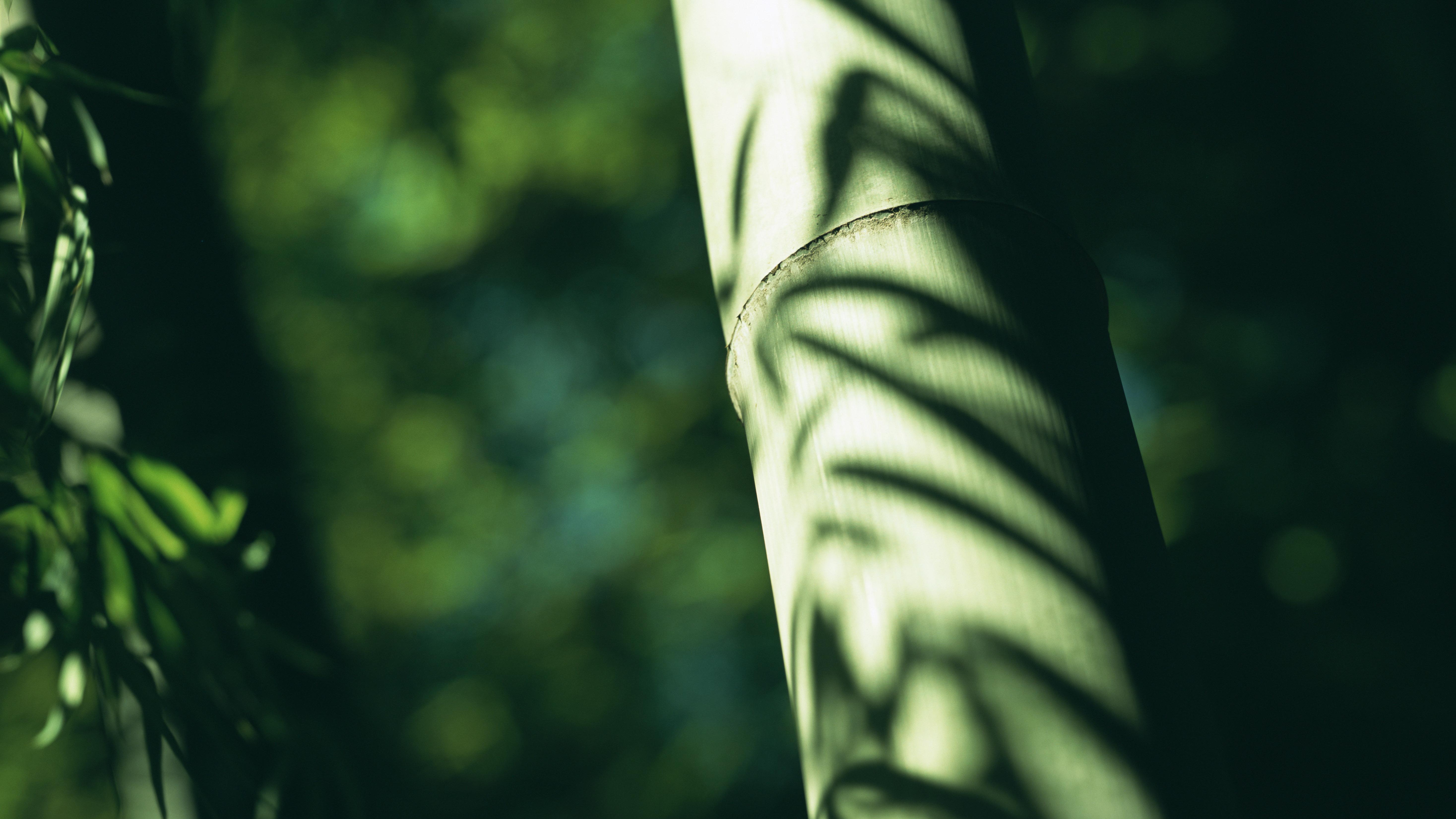 制度不是用来“吓人”的，而是用来“咬人”