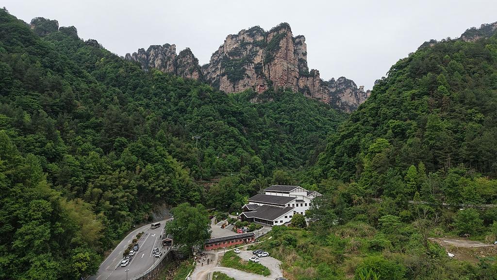 老农夫与白狐：藏在善良里的福报