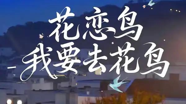 《花恋鸟我要去花鸟》奇幻爱恋启程与虐心羁绊