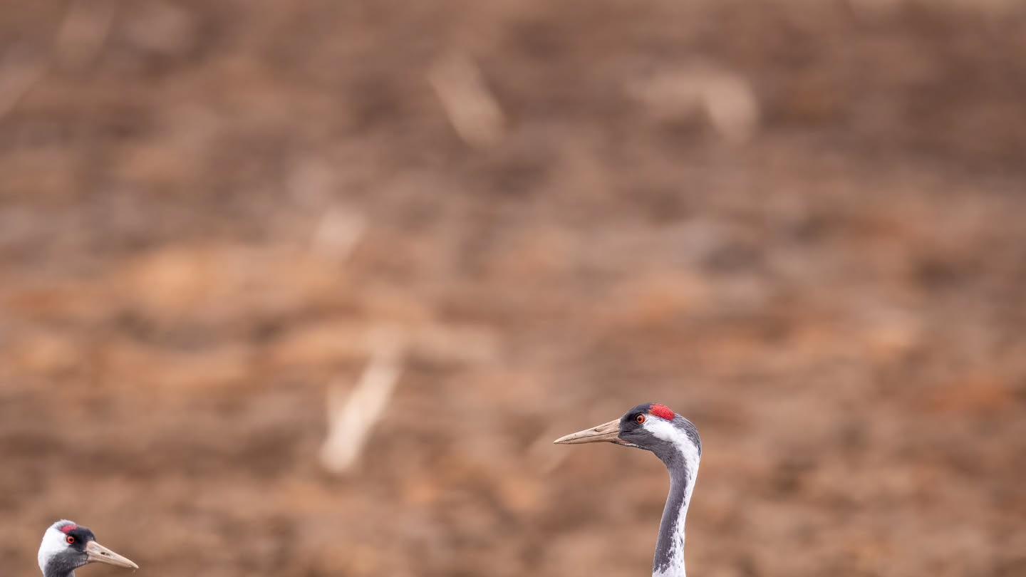 婚姻中最大的“致命问题”是什么