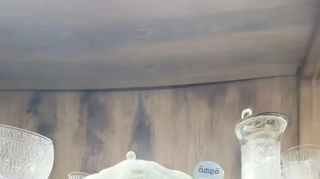 浙大美女CEO迪拜惊魂记