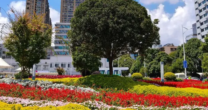 退休后去云南定居，到底香不香？98万“候鸟”用脚投了票