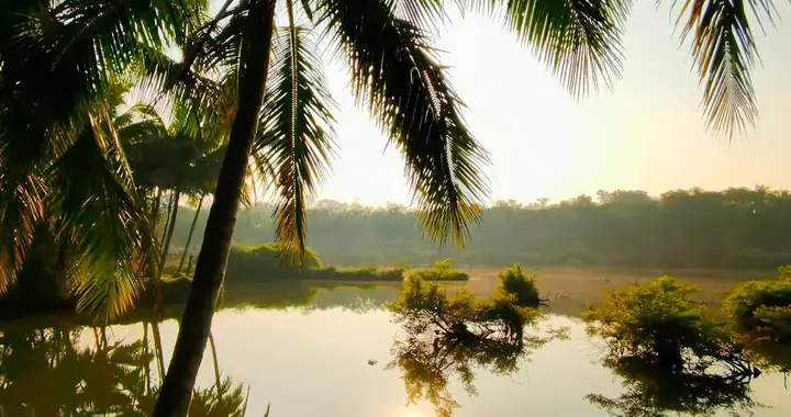 心善则福至，福至则苦远，苦远则心安