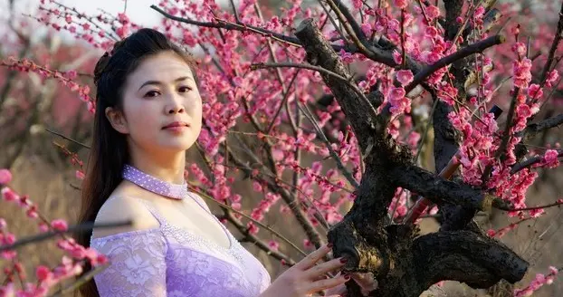 四月深情人未老，一帘风月待君归