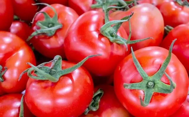 与西红柿相克的食物有哪些？两者尽量不要一起食用，别再傻傻去吃