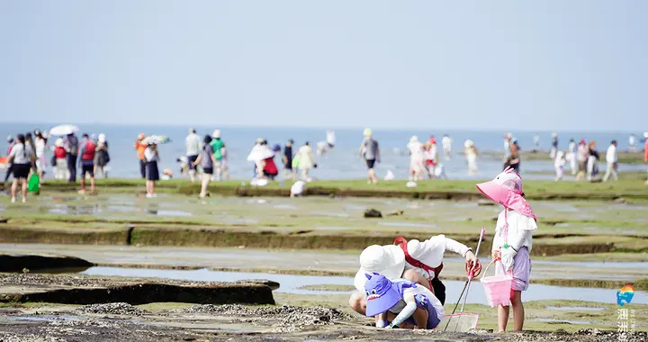 跨年黑马炸场！涠洲岛热度反超迪士尼，凭什么？