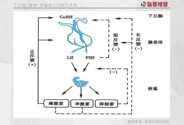 当恒瑞医药BD国内权益