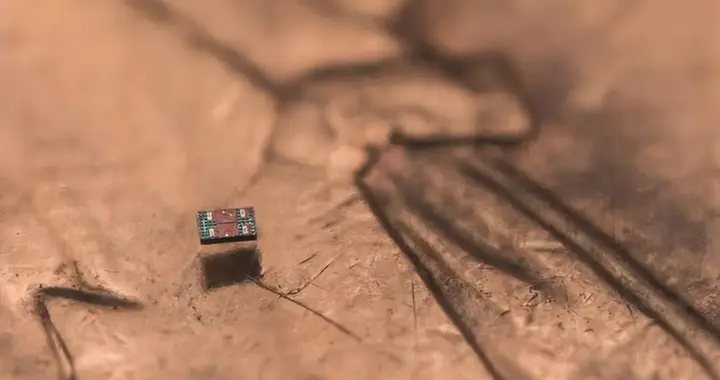 全球最小全自主微型机器人！能独立感知并响应环境，成本仅1美分