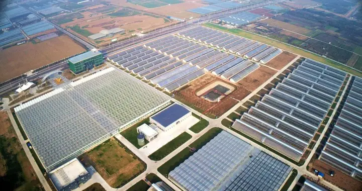 关于现代设施农业，中央一号文件这样要求!