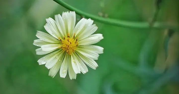 一个女人有了外心，不爱你了，往往会有一个行为：四个字