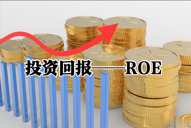 散户必看！这个指标决定80%收益，高ROE潜力股TOP100（速存）