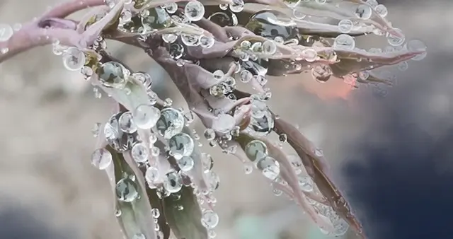 趣联妙对，上联：春雨绵绵花袅袅，求下联高手赐墨留香雅对