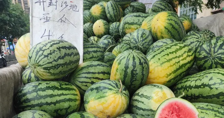 会计的账本里，藏着一整个夏天的记忆