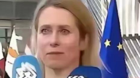 鲨娱崽崽：欧盟的官宣再次震惊了全世界：从