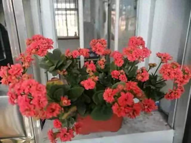 两性关系：人到70，如果还想再活20年，你需要记住这五句话