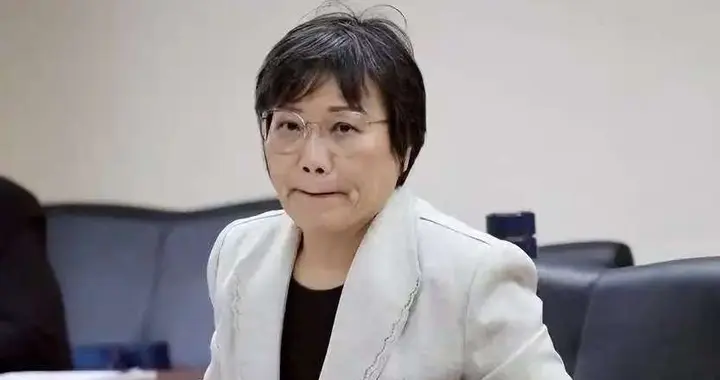 清算“台独分子”计划已经启动