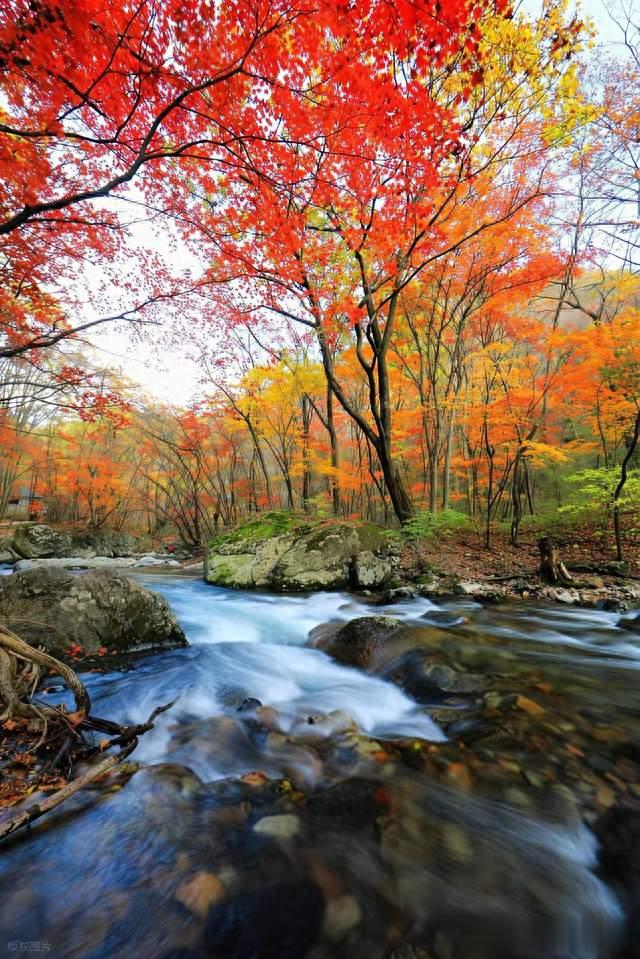 一场足球比赛，让四川的区域发展不平衡体现得淋漓尽致
