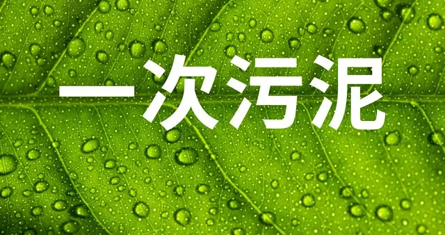 肝不好，湿热永远除不净！中医：先疏通这里，才是斩草除根