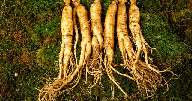 产量占全球80%，单价仅为韩国1/10：中韩人参产业数据化对比分析