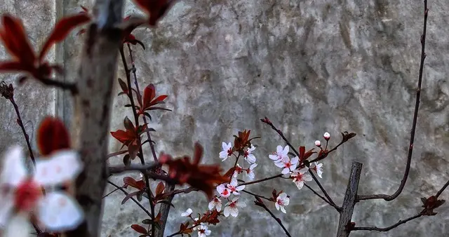 藏起来的伤痕最痛，咽下去的泪最委屈