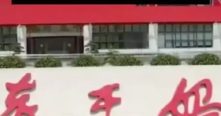 78岁陶华碧再掌舵：老干妈营收逼近54亿元