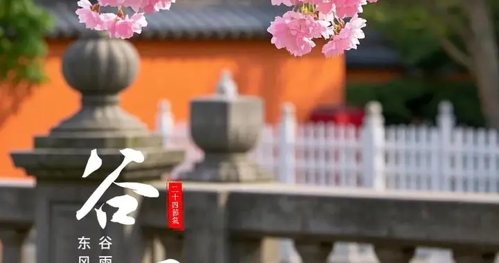 雨中花令.丙午谷雨