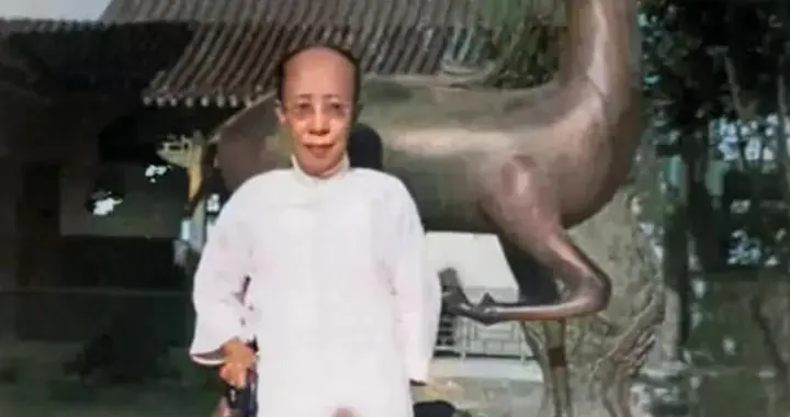 袁世凯五姨太的罕见留影，头发稀疏青春不再，被称为袁府的王熙凤