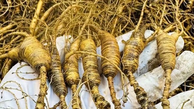 中医陈玉龙教授：阳虚难勃起，阴虚易早泄