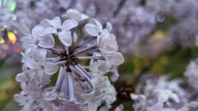 美好生活守望者：好几个人聊天说 “心软是